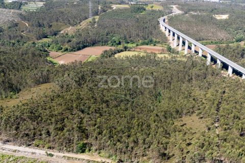 Terreno en Trofa, Porto, Trofa - € 290.000 | Ref: ZMPT570935 - photo 14