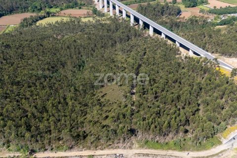 Terreno en Trofa, Porto, Trofa - € 290.000 | Ref: ZMPT570935 - photo 2
