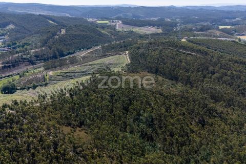 Terrain - Trofa, Porto, Trofa - € 290 000 | Réf : ZMPT570935 - photo 12