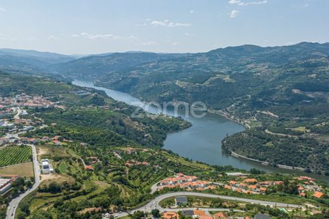 Villa i Resende, Viseu, Resende - € 990.000 | Ref: ZMPT571365 - foto 12