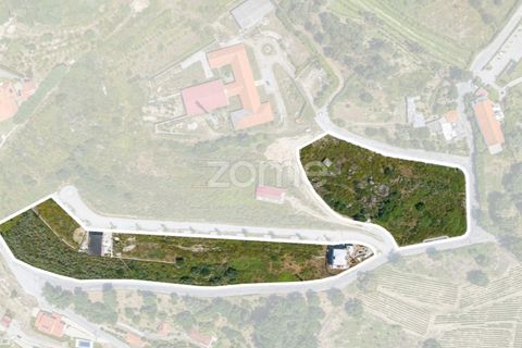 Villa i Resende, Viseu, Resende - € 990.000 | Ref: ZMPT571365 - foto 14