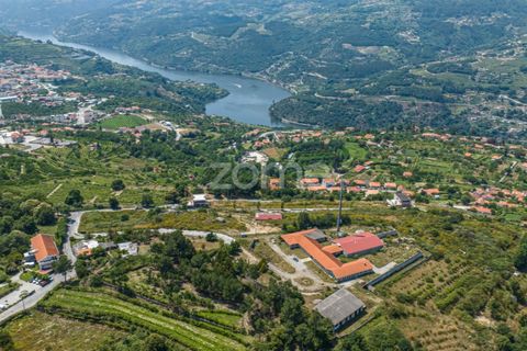 Villa i Resende, Viseu, Resende - € 990.000 | Ref: ZMPT571365 - foto 16
