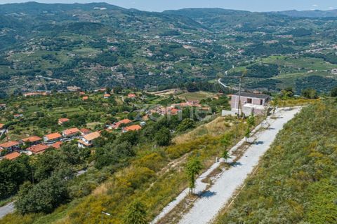Villa i Resende, Viseu, Resende - € 990.000 | Ref: ZMPT571365 - foto 18