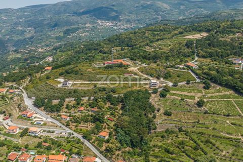 Villa i Resende, Viseu, Resende - € 990.000 | Ref: ZMPT571365 - foto 19