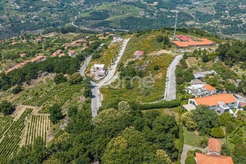 Villa i Resende, Viseu, Resende - € 990.000 | Ref: ZMPT571365 - foto 25