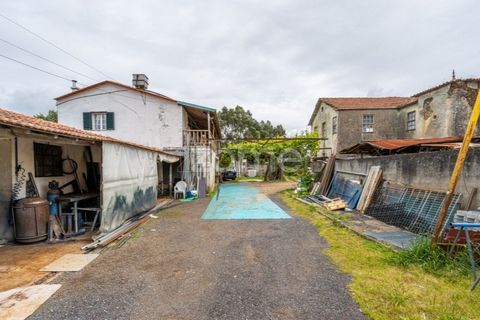 Farm i Gondomar, Porto, Gondomar - € 1.999.000 | Ref: ZMPT571910 - foto 23