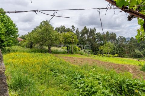 Farm i Gondomar, Porto, Gondomar - € 1.999.000 | Ref: ZMPT571910 - foto 25