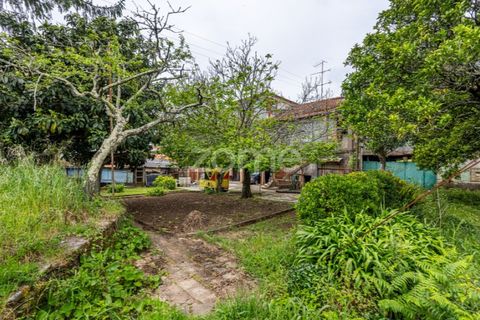 Farm i Gondomar, Porto, Gondomar - € 1.999.000 | Ref: ZMPT571910 - foto 27