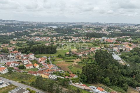 Farm i Gondomar, Porto, Gondomar - € 1.999.000 | Ref: ZMPT571910 - foto 28
