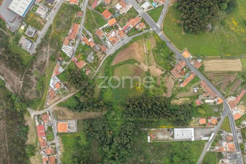 Farm i Gondomar, Porto, Gondomar - € 1.999.000 | Ref: ZMPT571910 - foto 30