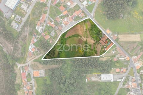 Farm i Gondomar, Porto, Gondomar - € 1.999.000 | Ref: ZMPT571910 - foto 31
