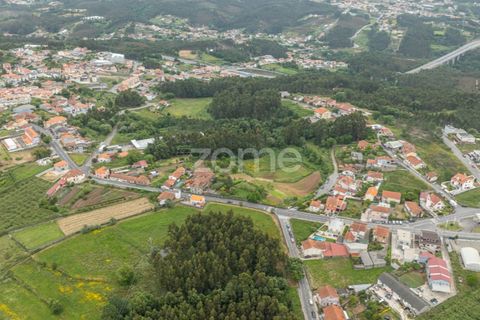 Farm i Gondomar, Porto, Gondomar - € 1.999.000 | Ref: ZMPT571910 - foto 34