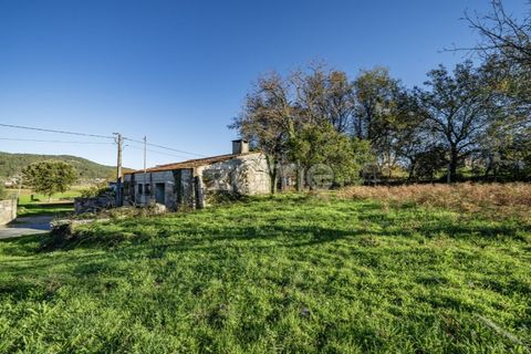 Helårsgrund i Arentim e Cunha, Braga, Arentim e Cunha - € 175.199 | Ref: ZMPT572913 - foto 7