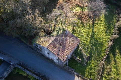 Helårsgrund i Arentim e Cunha, Braga, Arentim e Cunha - € 175.199 | Ref: ZMPT572913 - foto 18