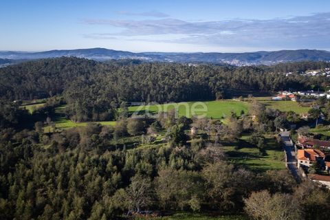 Helårsgrund i Arentim e Cunha, Braga, Arentim e Cunha - € 175.199 | Ref: ZMPT572913 - foto 20