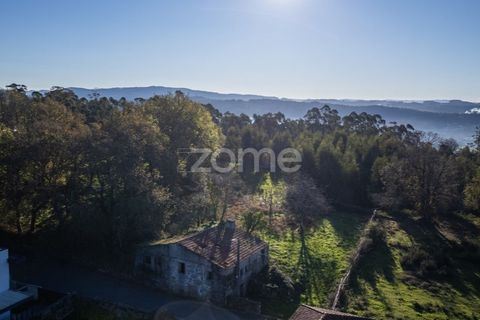 Helårsgrund i Arentim e Cunha, Braga, Arentim e Cunha - € 175.199 | Ref: ZMPT572913 - foto 14