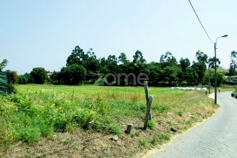 Helårsgrund i Gulpilhares e Valadares, Porto, Gulpilhares e Valadares - € 1.550.000 | Ref: ZMPT572921 - foto 12