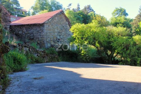 Villa a Paradela, Vila Real, Paradela - € 39.500 | Ref: ZMPT567625 - foto 14