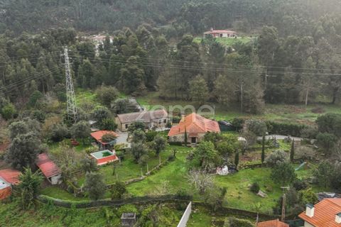 Farm i Ponte de Lima, Viana do Castelo, Ponte de Lima - € 499.000 | Ref: ZMPT572866 - foto 5