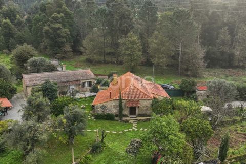 Farm i Ponte de Lima, Viana do Castelo, Ponte de Lima - € 499.000 | Ref: ZMPT572866 - foto 6