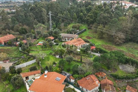 Farm i Ponte de Lima, Viana do Castelo, Ponte de Lima - € 499.000 | Ref: ZMPT572866 - foto 7