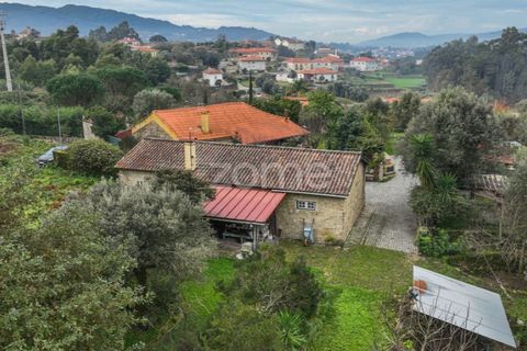 Farm i Ponte de Lima, Viana do Castelo, Ponte de Lima - € 499.000 | Ref: ZMPT572866 - foto 11
