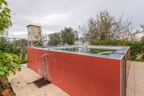 Farm i Ponte de Lima, Viana do Castelo, Ponte de Lima - € 499.000 | Ref: ZMPT572866 - foto 22