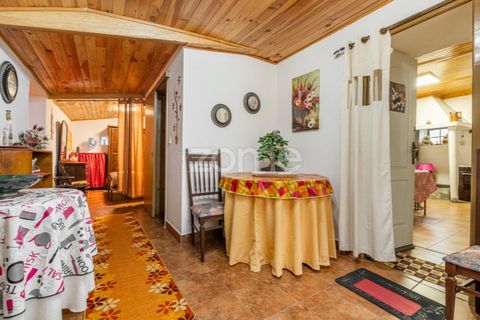 Farm i Ponte de Lima, Viana do Castelo, Ponte de Lima - € 499.000 | Ref: ZMPT572866 - foto 30