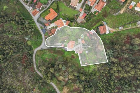 Farm i Ponte de Lima, Viana do Castelo, Ponte de Lima - € 499.000 | Ref: ZMPT572866 - foto 2