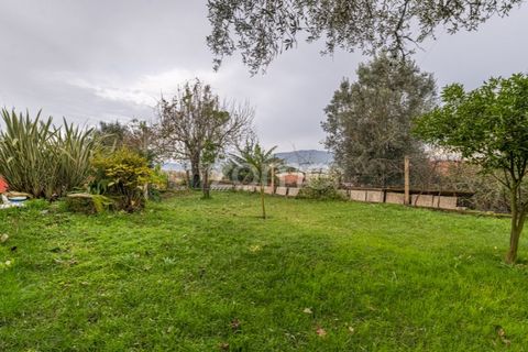 Farm i Ponte de Lima, Viana do Castelo, Ponte de Lima - € 499.000 | Ref: ZMPT572866 - foto 20