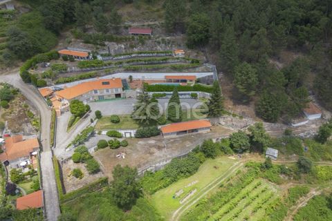 Granja a Amarante, Porto, Amarante - € 680.000 | Ref: ZMPT571683 - foto 29