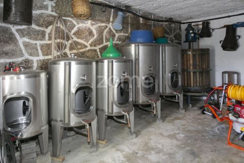 Granja a Amarante, Porto, Amarante - € 680.000 | Ref: ZMPT571683 - foto 21