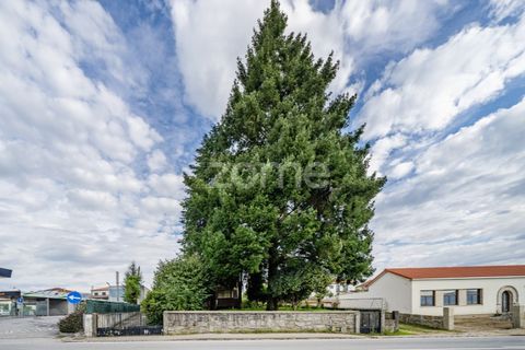 Villa i Amarante, Porto, Amarante - € 500.000 | Ref: ZMPT572511 - foto 5