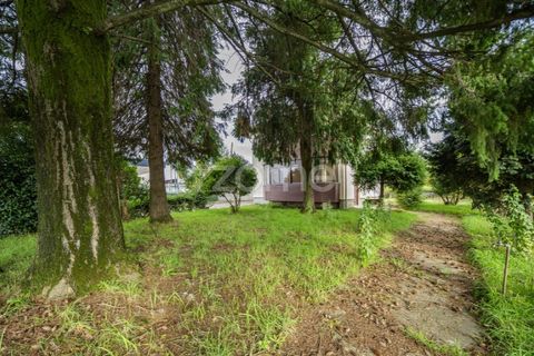 Villa i Amarante, Porto, Amarante - € 500.000 | Ref: ZMPT572511 - foto 7