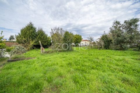 Villa i Amarante, Porto, Amarante - € 500.000 | Ref: ZMPT572511 - foto 41