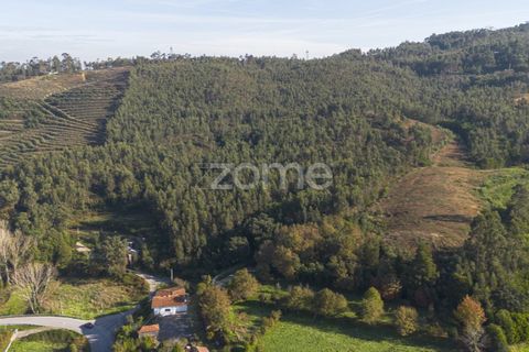 Terra a Sobreira, Porto, Sobreira - € 202.000 | Ref: ZMPT570595 - foto 2