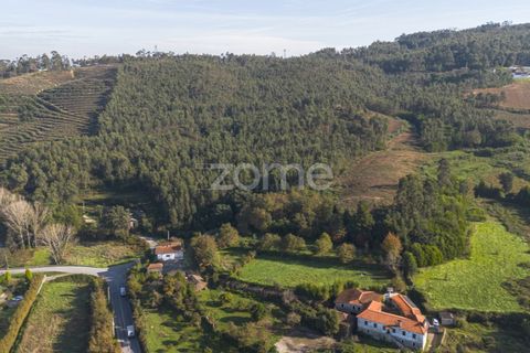 Terra a Sobreira, Porto, Sobreira - € 202.000 | Ref: ZMPT570595 - foto 3