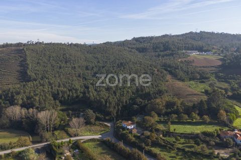 Terra a Sobreira, Porto, Sobreira - € 202.000 | Ref: ZMPT570595 - foto 5
