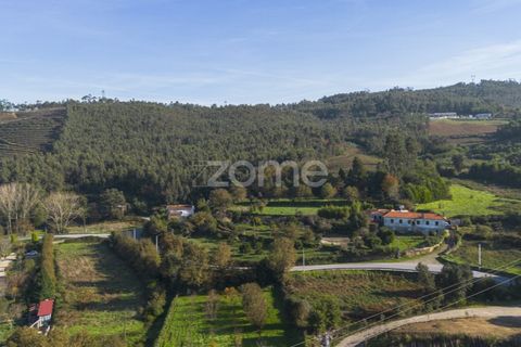 Terra a Sobreira, Porto, Sobreira - € 202.000 | Ref: ZMPT570595 - foto 6
