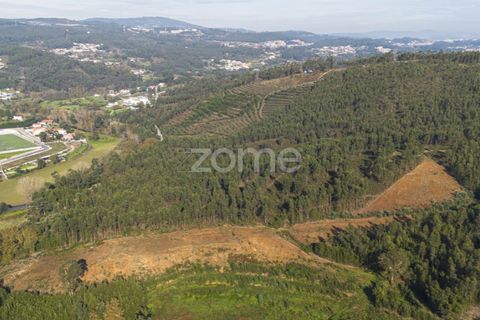 Terra a Sobreira, Porto, Sobreira - € 202.000 | Ref: ZMPT570595 - foto 7