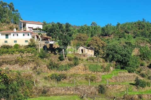 Farm i Arouca, Aveiro, Arouca - € 99.000 | Ref: ZMPT571443 - foto 9