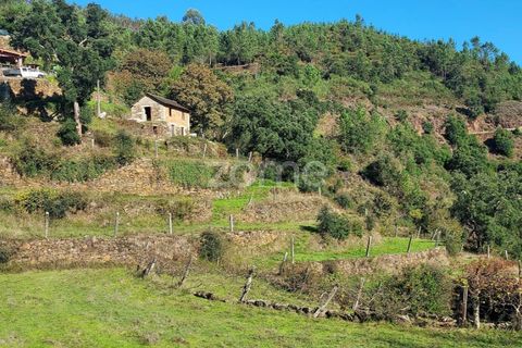 Farm i Arouca, Aveiro, Arouca - € 99.000 | Ref: ZMPT571443 - foto 10