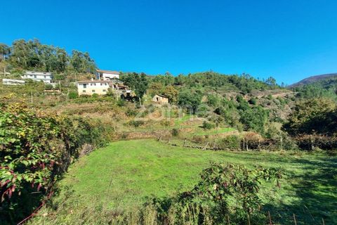 Farm i Arouca, Aveiro, Arouca - € 99.000 | Ref: ZMPT571443 - foto 11