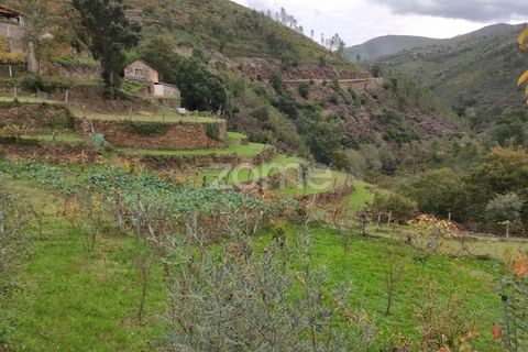 Farm i Arouca, Aveiro, Arouca - € 99.000 | Ref: ZMPT571443 - foto 12