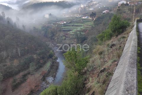 Farm i Arouca, Aveiro, Arouca - € 99.000 | Ref: ZMPT571443 - foto 13