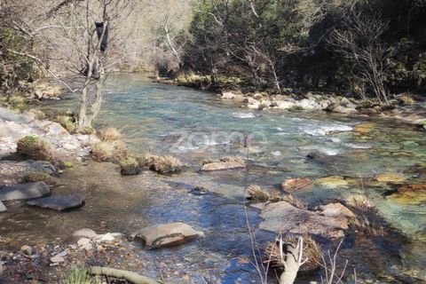 Farm i Arouca, Aveiro, Arouca - € 99.000 | Ref: ZMPT571443 - foto 15