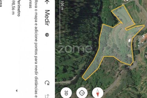 Farm i Arouca, Aveiro, Arouca - € 99.000 | Ref: ZMPT571443 - foto 17