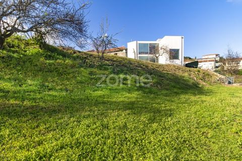 Farm i Guimaraes, Braga, Guimaraes - € 1.200.000 | Ref: ZMPT567167 - foto 6
