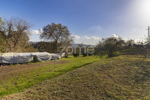 Farm i Guimaraes, Braga, Guimaraes - € 1.200.000 | Ref: ZMPT567167 - foto 14