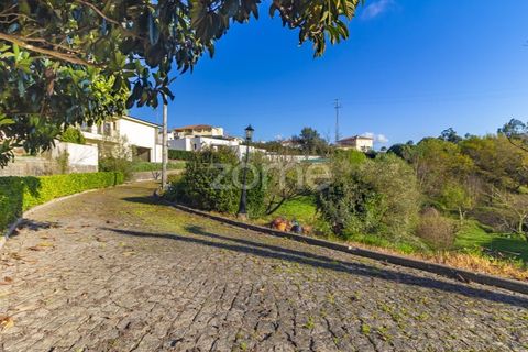 Farm i Guimaraes, Braga, Guimaraes - € 1.200.000 | Ref: ZMPT567167 - foto 30